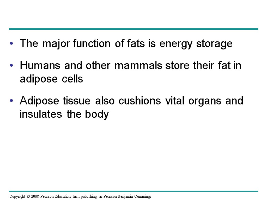 The major function of fats is energy storage Humans and other mammals store their